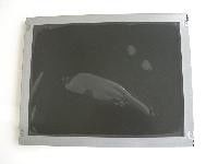 TM057KDH01-00 টিআইএনএমএ 5.7 ইঞ্চি 320 (আরজিবি) × 240 400cd / m² শিল্প এলসিডি ডিসপ্লে