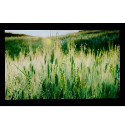 10.1 "LCM 1024 × 600RGB 350cd / m² LQ101W3LG01 শার্প টিএফটি এলসিডি প্রদর্শন