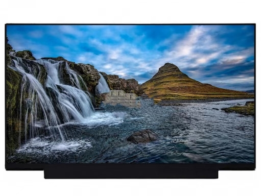 NT173WDM-N25 BOE 17.3&quot; 1600 ((RGB) × 900, HD+ 250 (cd/m2) শিল্প এলসিডি ডিসপ্লে