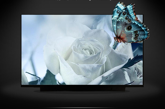 B133HAK02.2 AUO 13.3&quot; 1920 ((RGB) ×1080, 300 cd/m2 শিল্প এলসিডি ডিসপ্লে